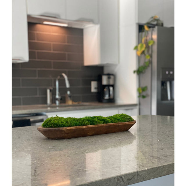the savage way mood moss bowl in kitchen